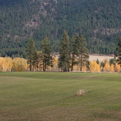 Scenery